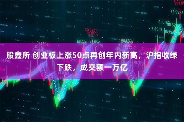 股鑫所 创业板上涨50点再创年内新高，沪指收绿下跌，成交额一万亿