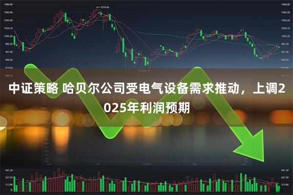 中证策略 哈贝尔公司受电气设备需求推动，上调2025年利润预期
